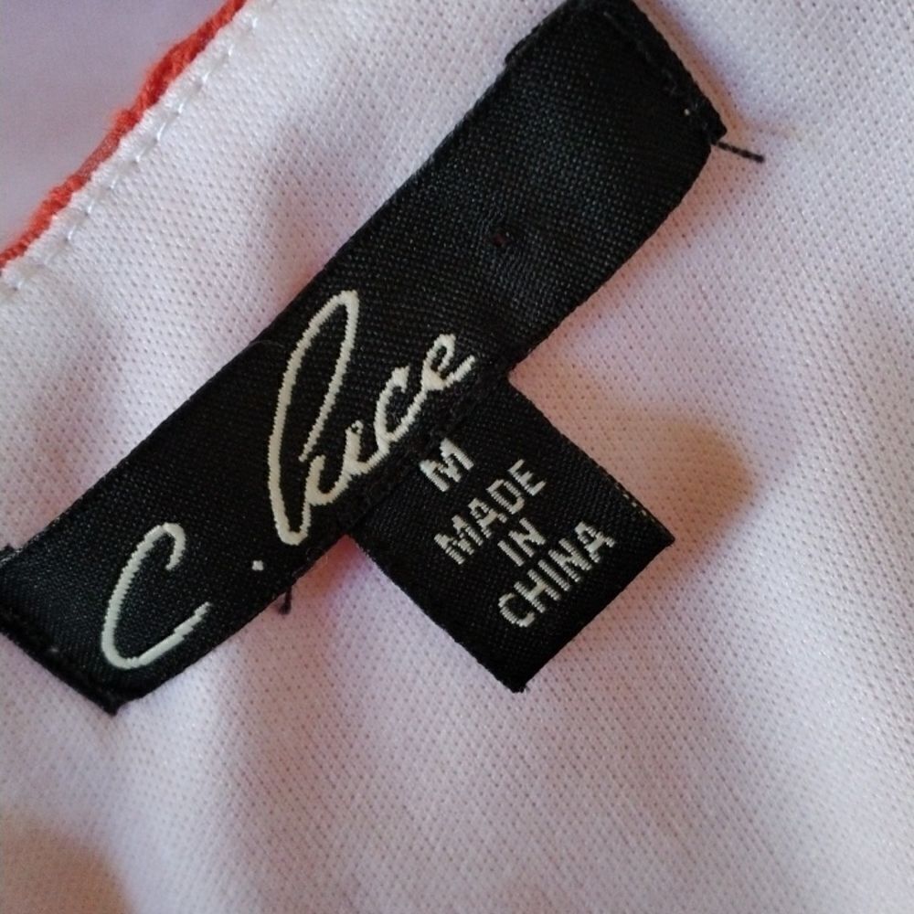 C. Luce Embroidered Dress Cottagecore - Picture 9 of 11